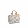 Louis Vuitton Speedy 25 N41371