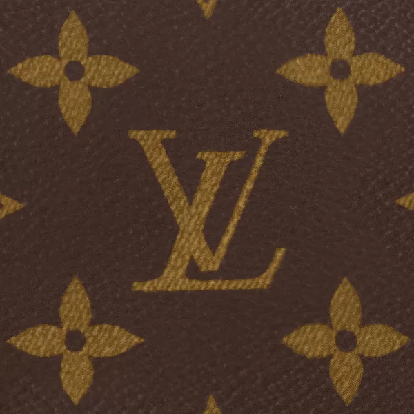 Louis Vuitton Mini Pochette Accessoires M58009