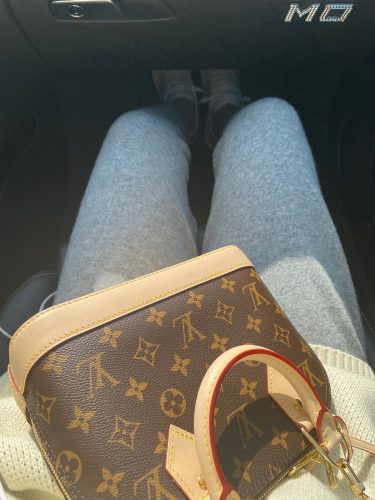 Louis Vuitton Monogram M46990 Alma BB photo review