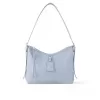 Louis Vuitton M46673 CarryAll PM Blue Washed