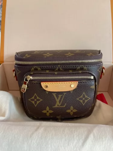 Louis Vuitton M82335 Mini Bumbag photo review